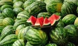 吃瓜吃太多会有什么病症,揭秘可能导致的各种病症