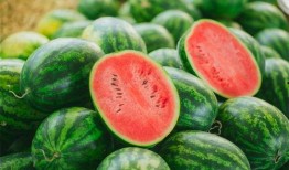 吃瓜系统03,趣味互动，畅享娱乐新体验