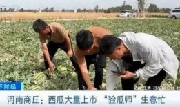 商丘睢阳区吃瓜事件视频,一场引发热议的街头冲突瞬间