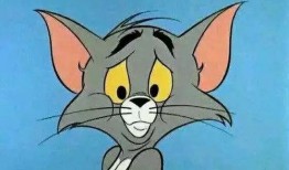 老鼠闯进店里猫吃瓜