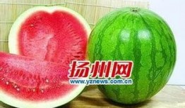 籽瓜宝宝怎么吃最好,籽瓜宝宝的最佳食用方法揭秘