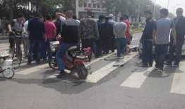 车祸撞车吃瓜狗,撞车瞬间，吃瓜狗成意外焦点