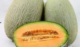入夏吃哈密瓜,哈密瓜的入夏盛宴