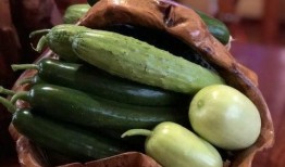 南北吃瓜网红,一场舌尖上的文化盛宴