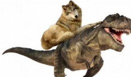 带你吃瓜恐龙扛狼,带你领略史前吃瓜奇观