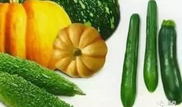 吃瓜系统03,趣味互动，畅享娱乐新体验