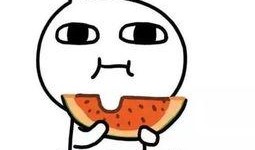 关注热点吃瓜,揭秘娱乐圈最新“瓜田”盛况