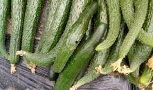 黄瓜尖嘴瓜怎么吃