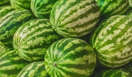 吃瓜福州博主,跟随吃瓜博主探寻美食与趣事