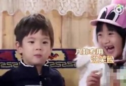 吴姐吃瓜,揭秘娱乐圈幕后故事