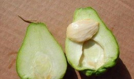 合掌瓜如何吃,解锁美味新体验