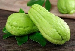 牙痛吃佛手瓜,天然草本植物的神奇功效