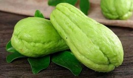 牙痛吃佛手瓜,天然草本植物的神奇功效