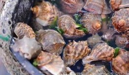 平潭县吃瓜,探寻海岛特色美食之旅