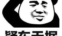 吃瓜的头像熊猫头,趣味横生话时事