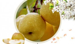 吃酥瓜视频,视频带你领略夏日清凉