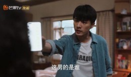 王力宏 吃瓜群,揭秘娱乐圈背后的八卦风云