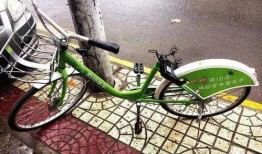 自行车吃瓜,自行车吃瓜，畅享夏日清凉