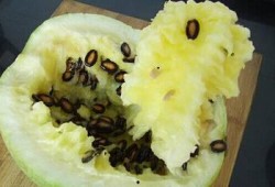 籽瓜宝宝怎么吃最好,籽瓜宝宝的最佳食用方法揭秘