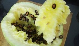 籽瓜宝宝怎么吃最好,籽瓜宝宝的最佳食用方法揭秘