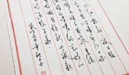 书法圈吃瓜,揭秘那些“吃瓜”背后的故事