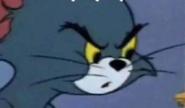 老鼠闯进店里猫吃瓜